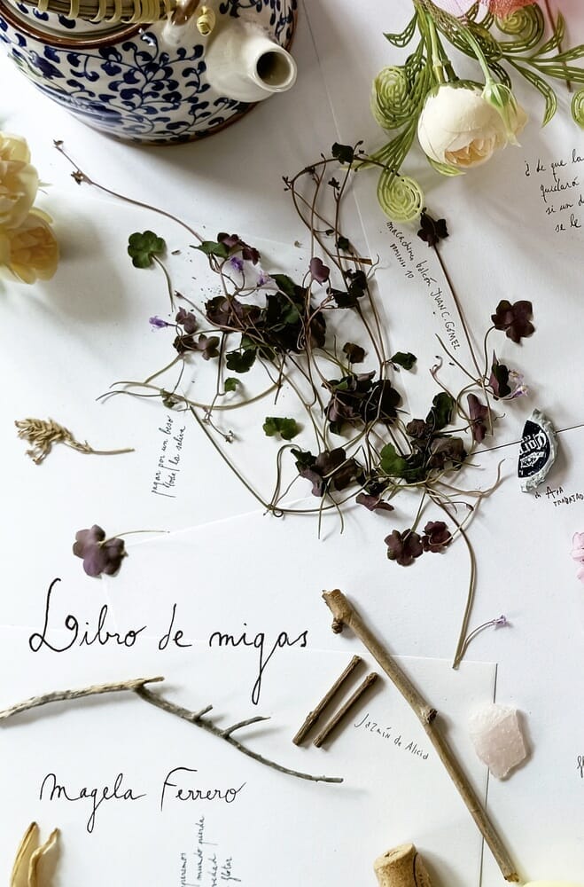 LIBRO DE MIGAS