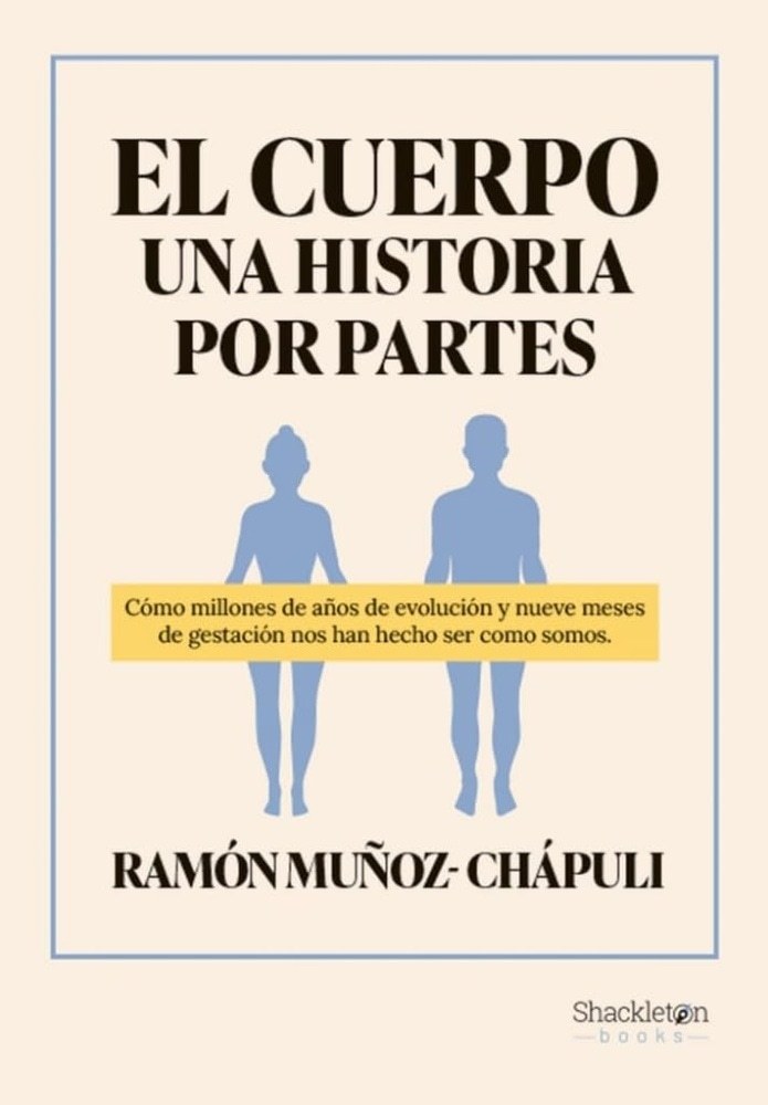 CUERPO, EL - UNA HISTORIA POR PARTES