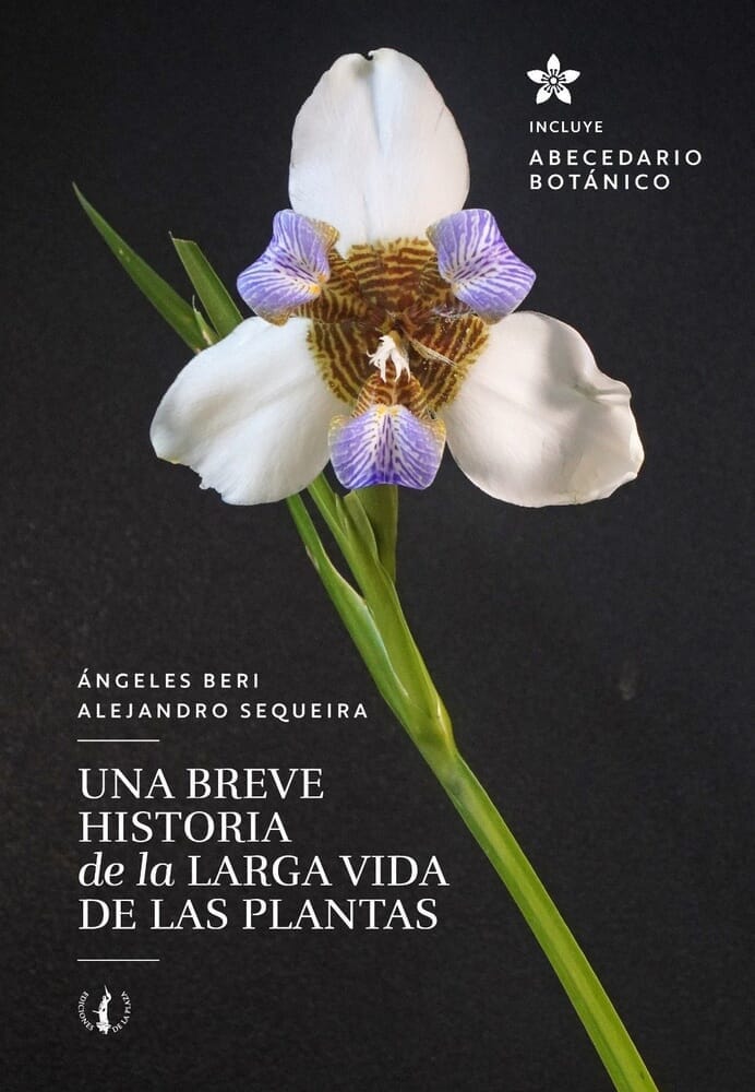 UNA BREVE HISTORIA DE LA LARGA VIDA DE LAS PLANTAS