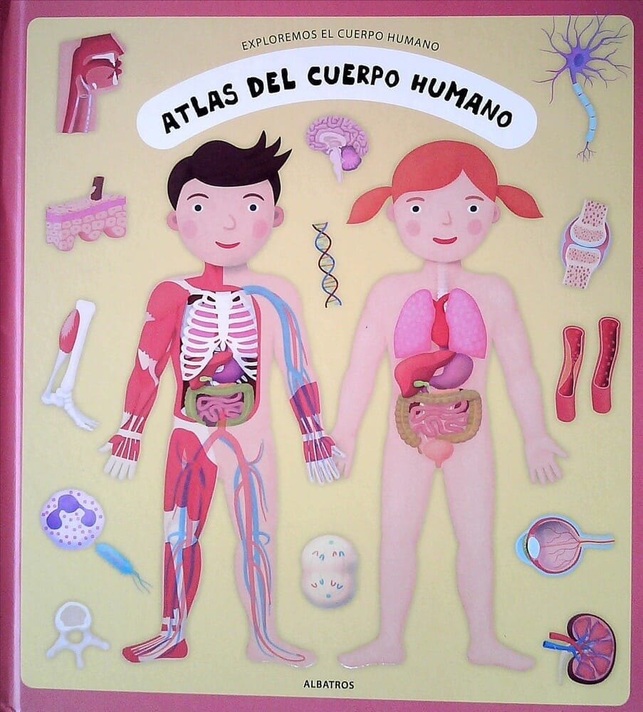 ATLAS DEL CUERPO HUMANO