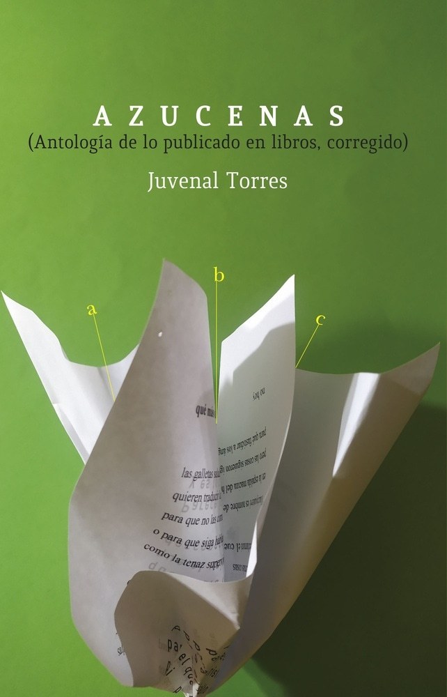 AZUCENAS