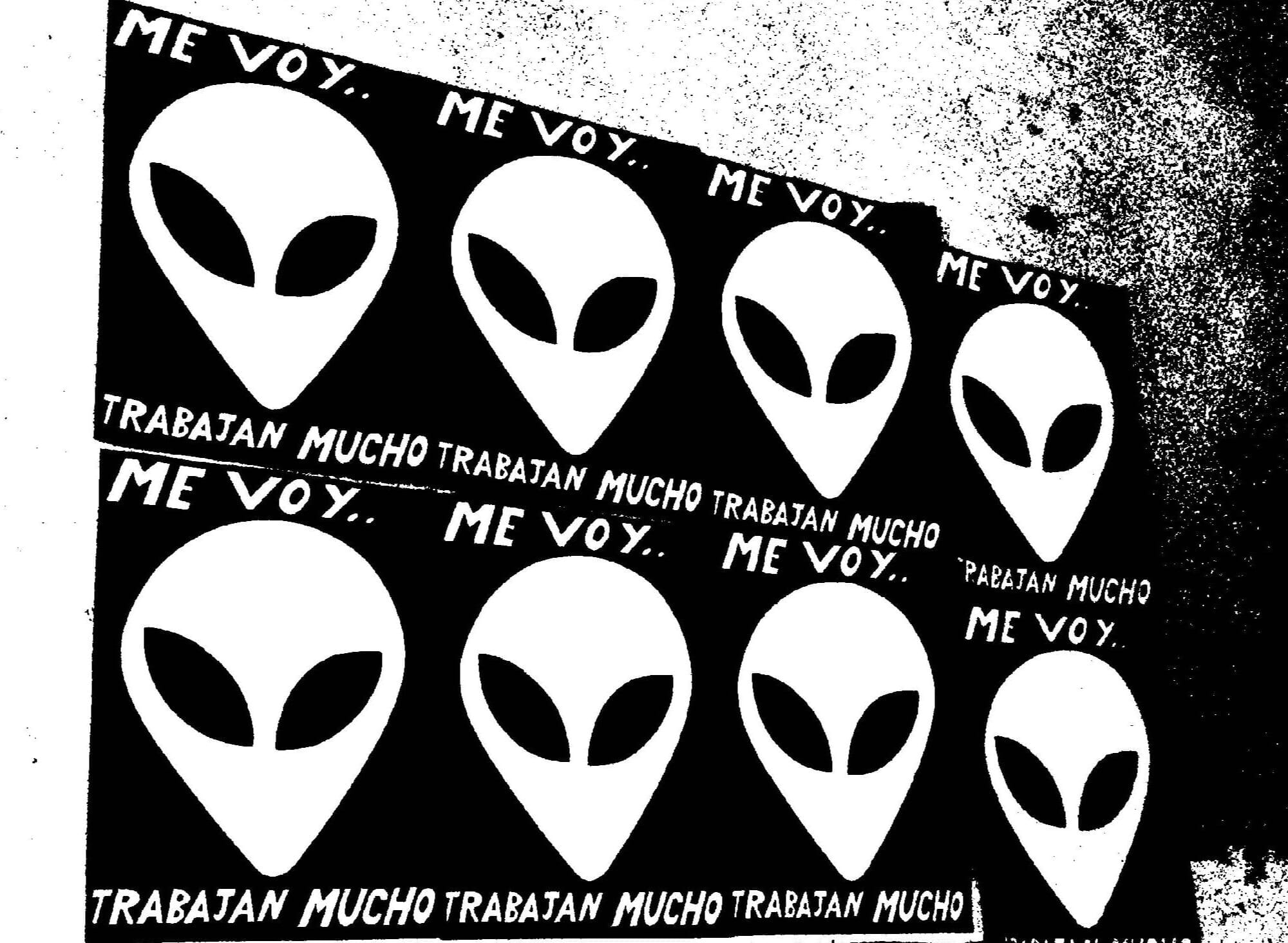imagen galería