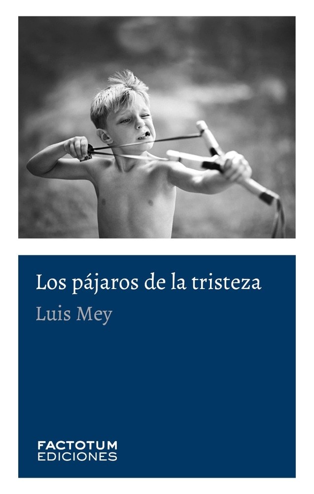 LOS PÁJAROS DE LA TRISTEZA