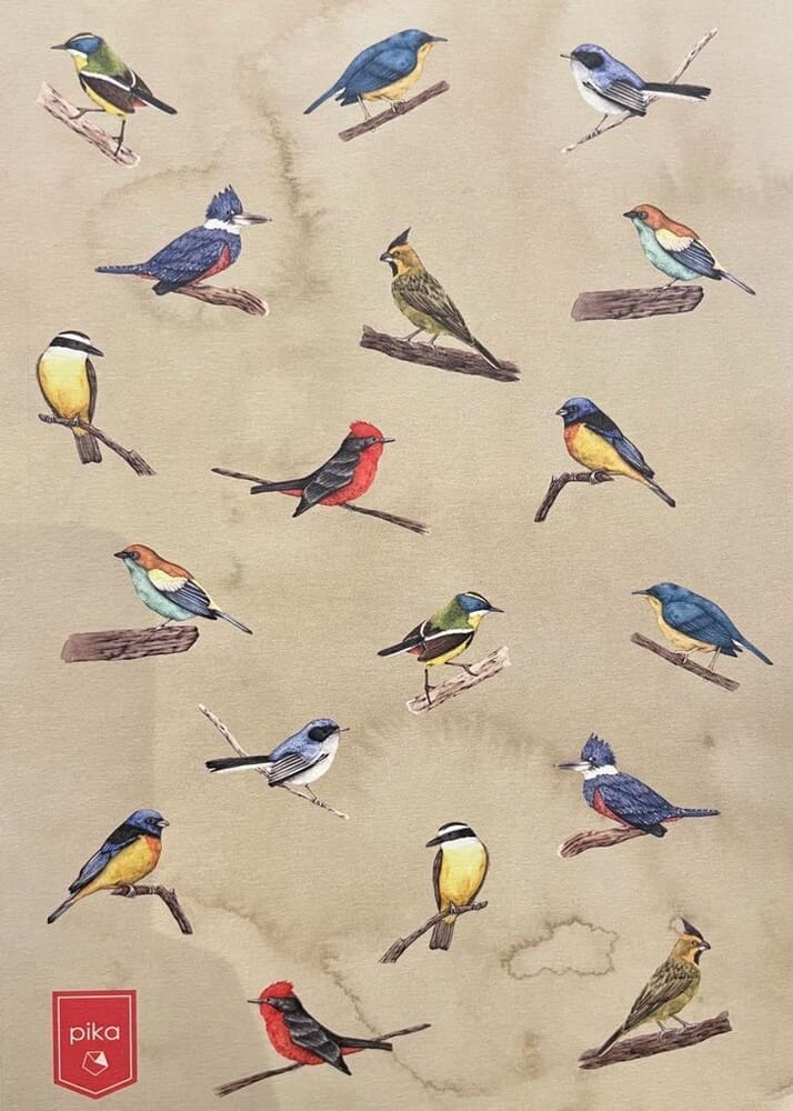 CUADERNO AVES URUGUAY