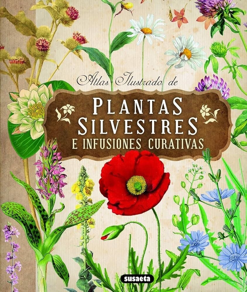 ATLAS ILUSTRADO DE PLANTAS SILVESTRES E INFUSIONES CURATIVAS