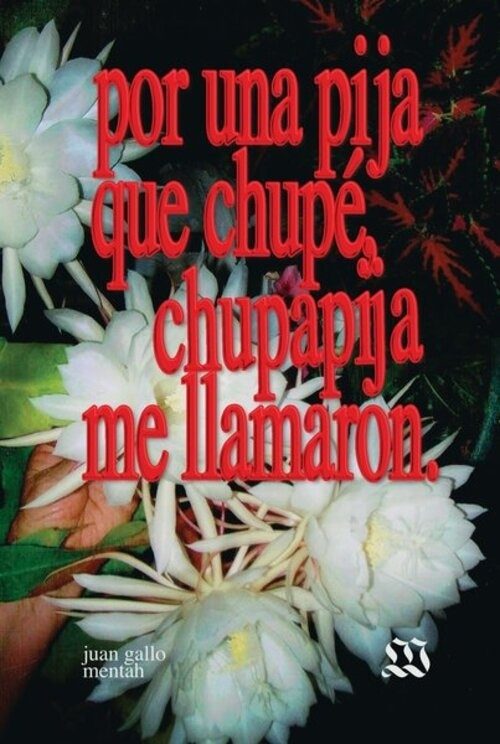 POR UNA PIJA QUE CHUPE, CHUPAPIJA ME LLAMARON