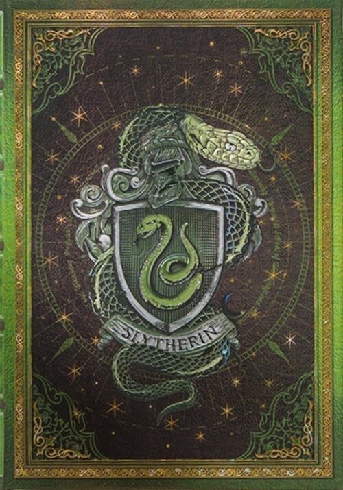 DIARIO SLYTHERIN MIDI RENGLONES