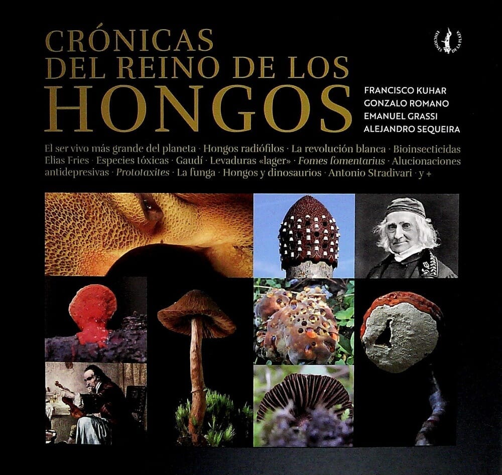 CRONICAS DEL REINO DE LOS HONGOS