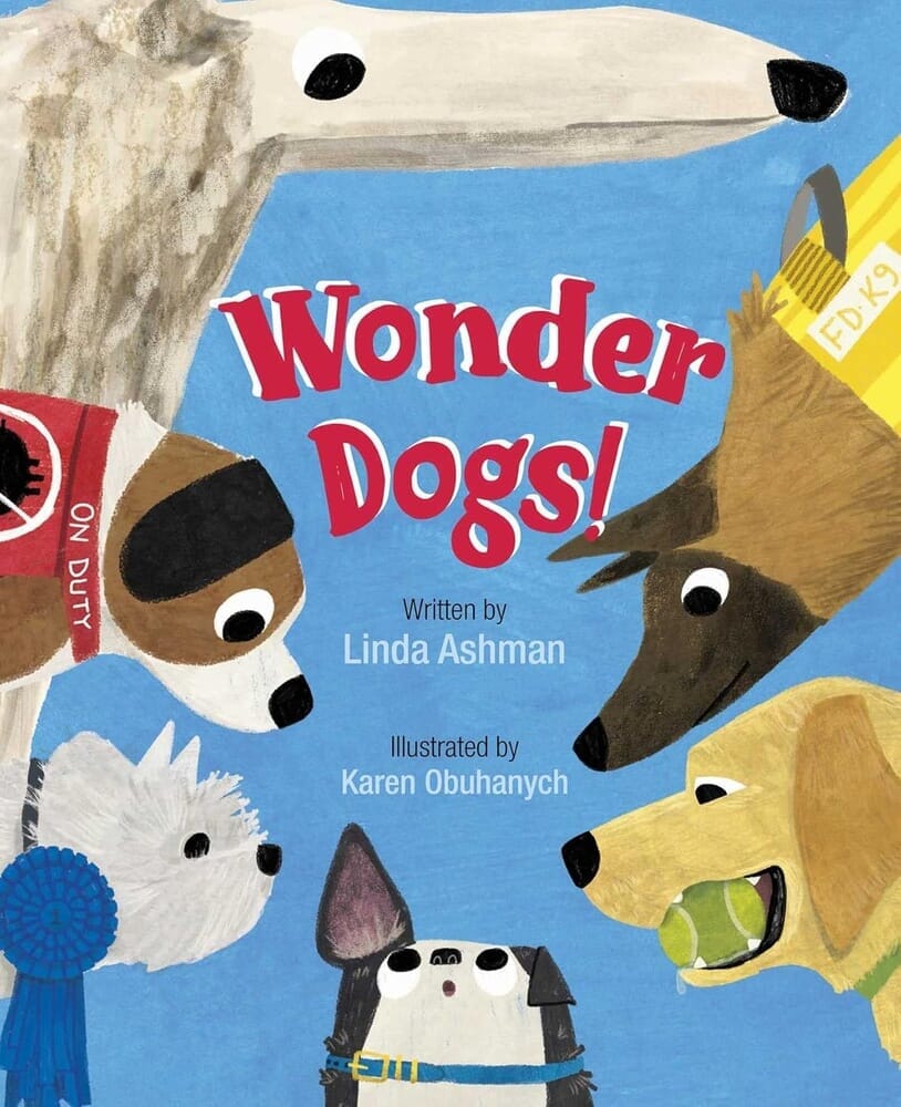 WONDER DOGS