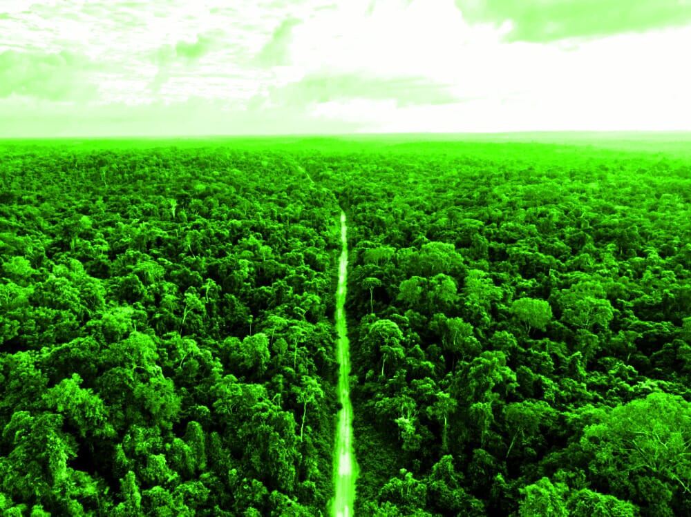Día Mundial del Medio Ambiente: ecologías políticas disidentes