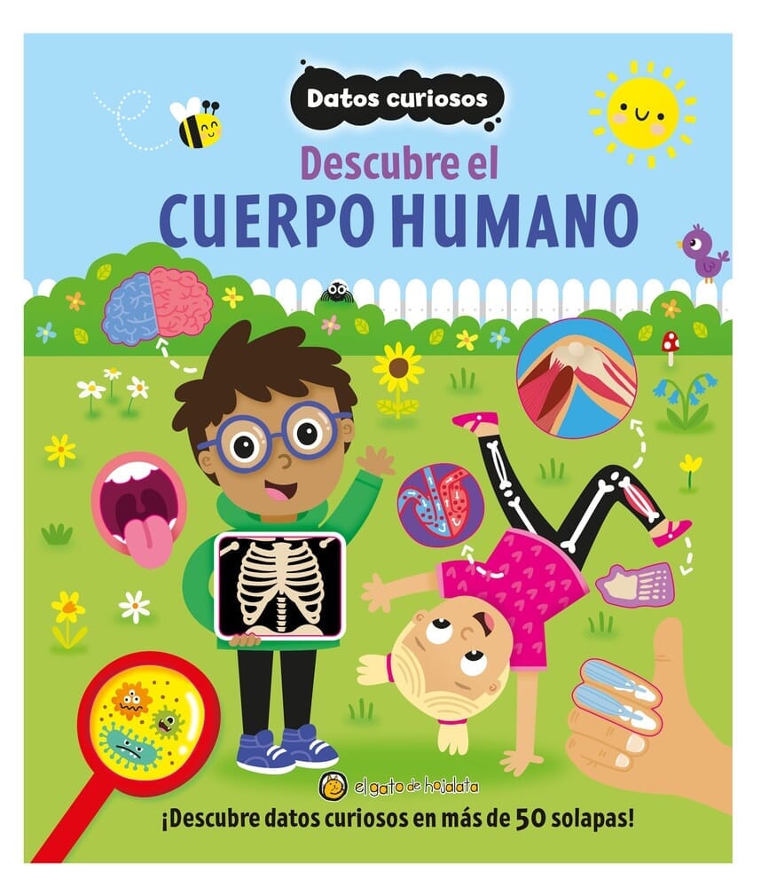 DATOS CURIOSOS. DESCUBRE EL CUERPO HUMANO