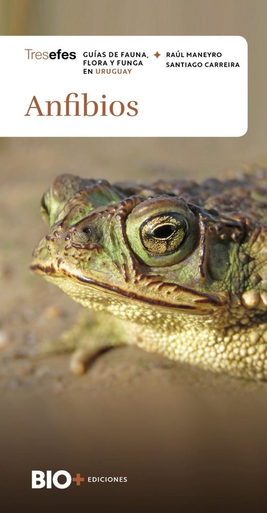 ANFIBIOS. GUIAS DE FLORA, FAUNA Y FUNGA EN URUGUAY