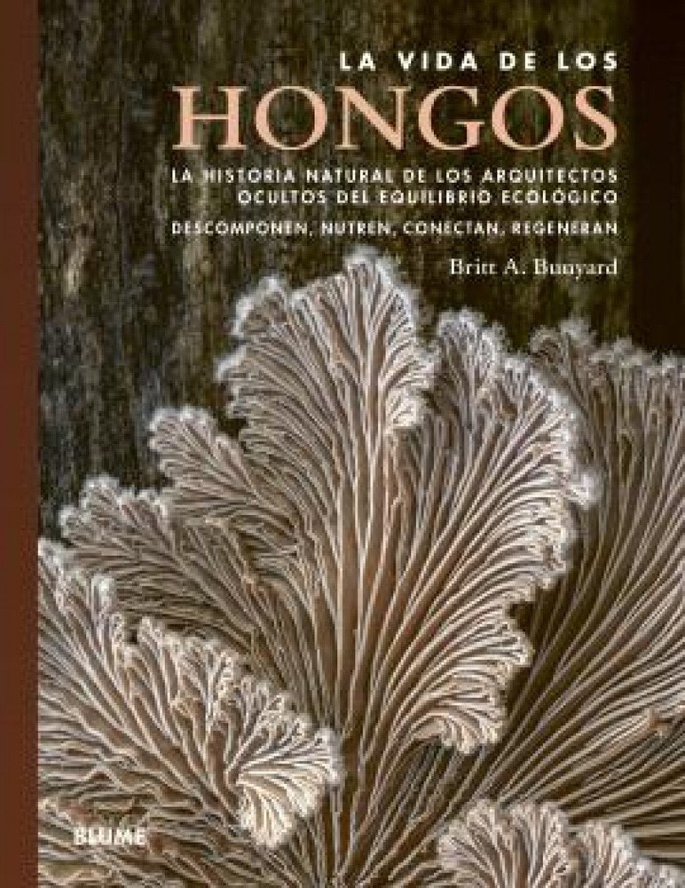 LA VIDA DE LOS HONGOS
