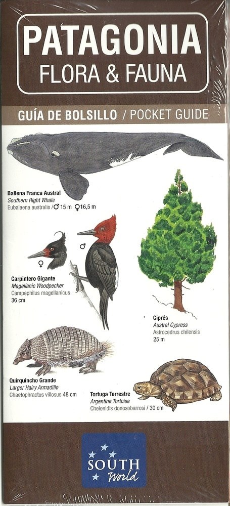PATAGONIA, FLORA Y FAUNA