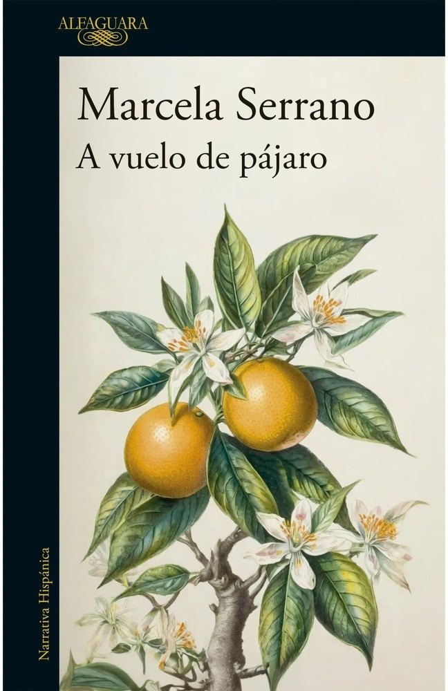 A VUELO DE PÁJARO