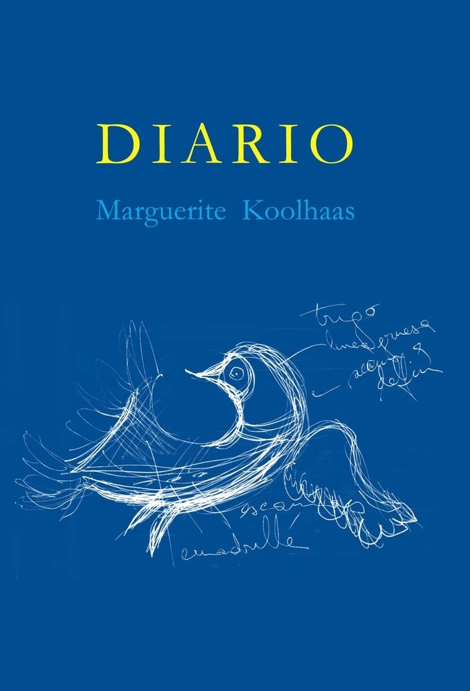 DIARIO KOOLHAAS