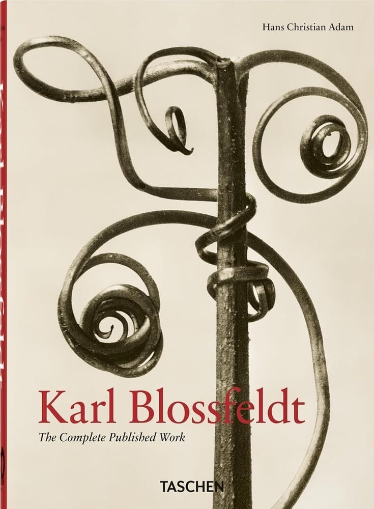 KARL BLOSSFELDT