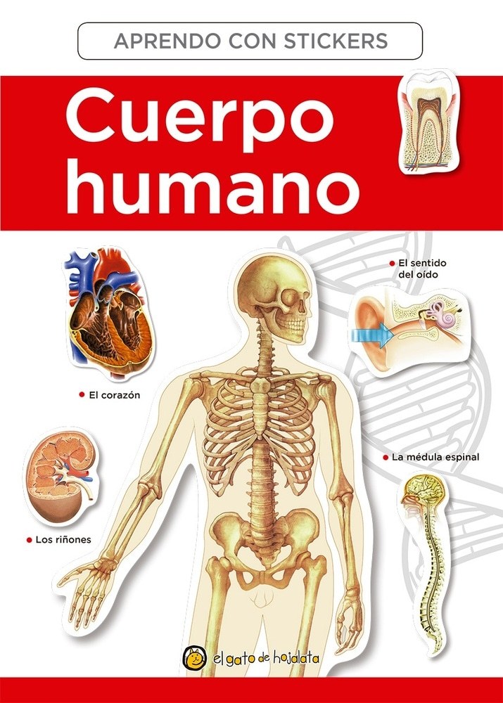 CUERPO HUMANO- APRENDO STICKERS