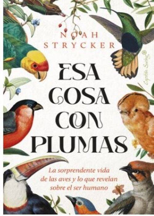 ESA COSA CON PLUMAS