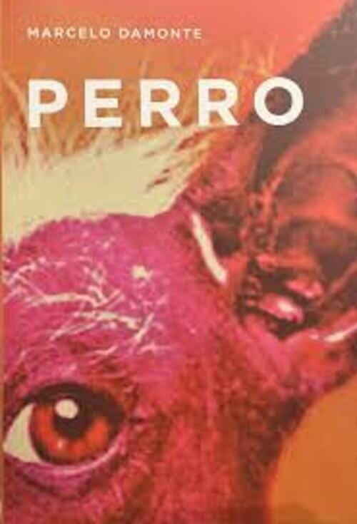 PERRO