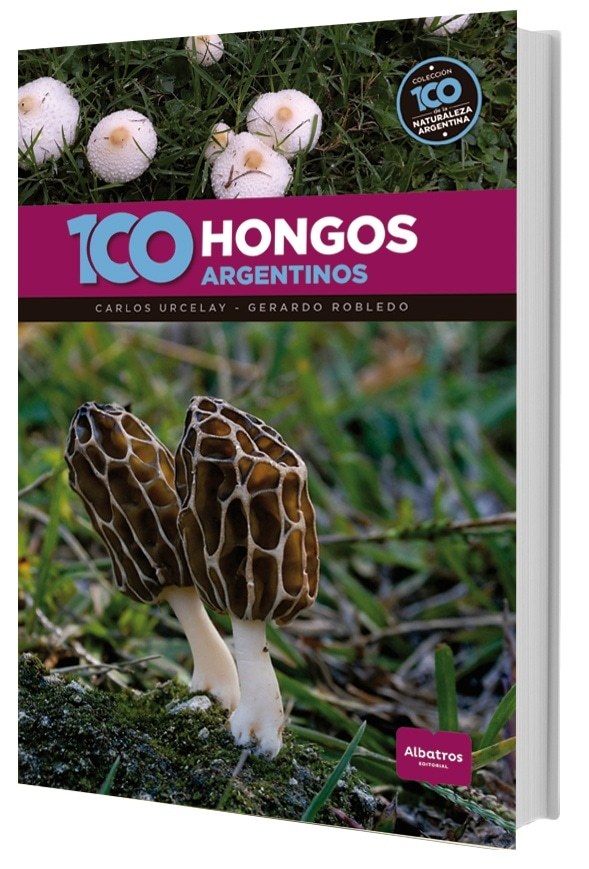 100 HONGOS ARGENTINOS