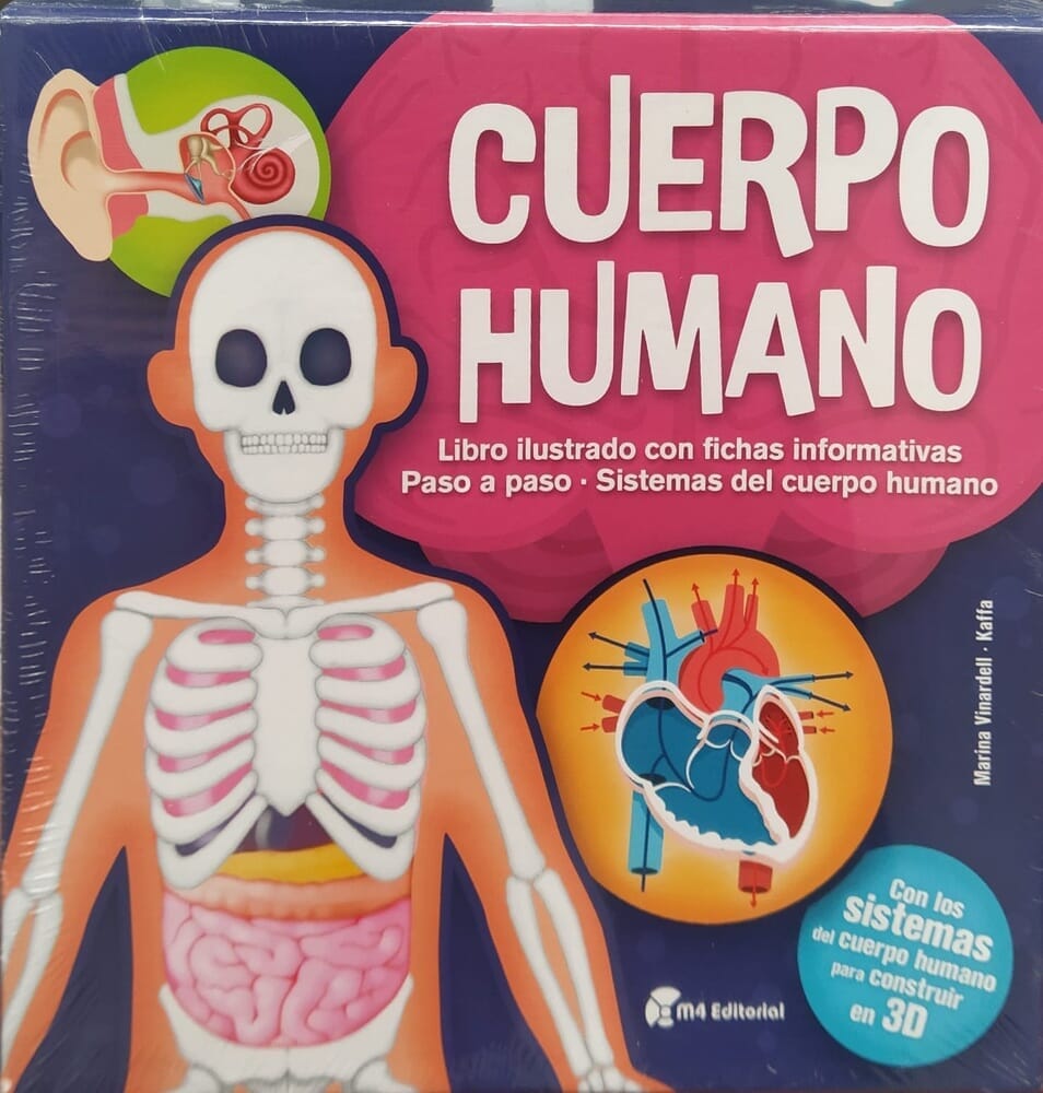 CUERPO HUMANO KIT DE CONSTRUCCION