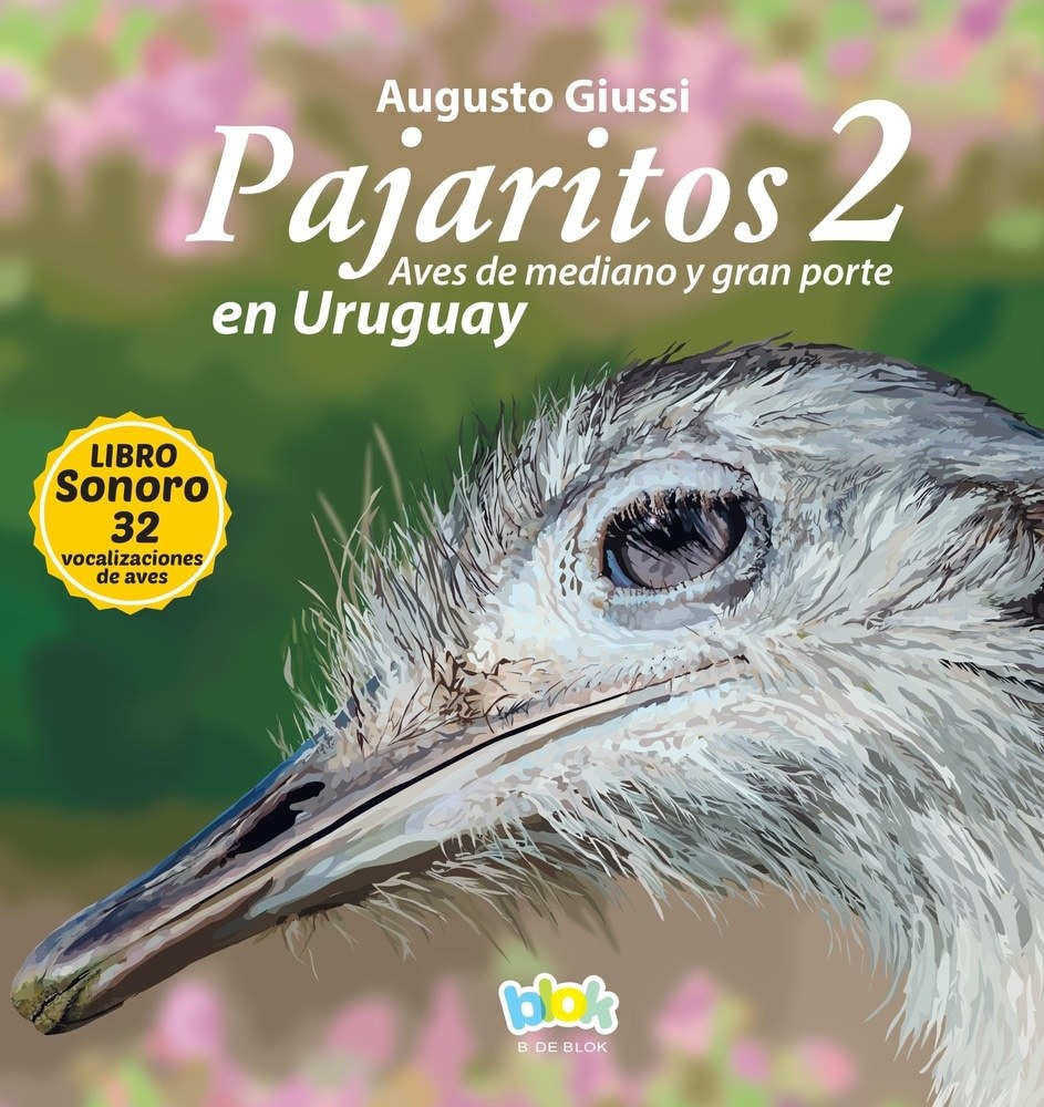 PAJARITOS EN URUGUAY 2