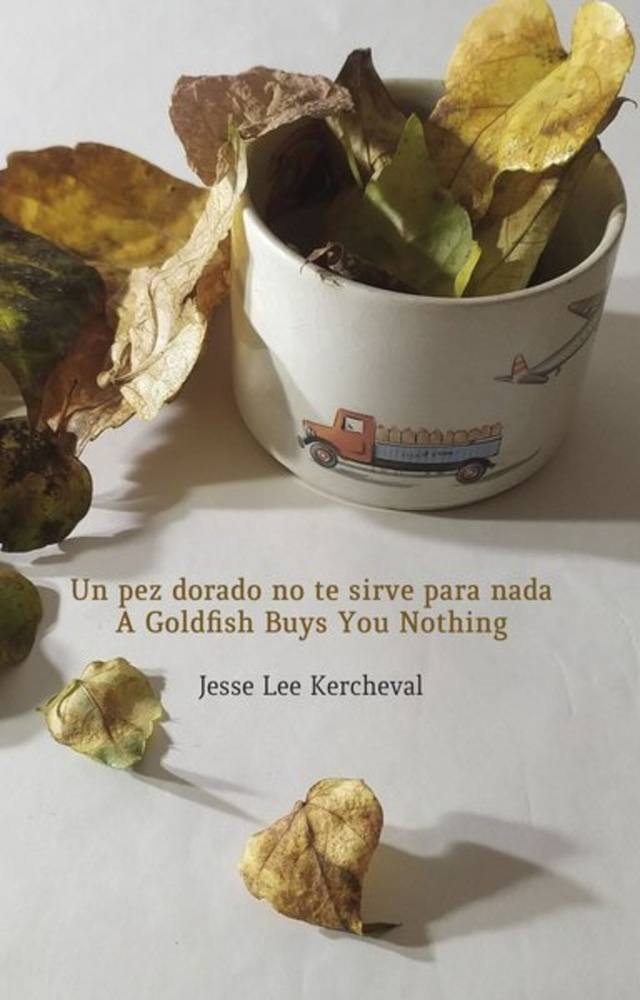 PEZ DORADO NO TE SIRVE PARA NADA, UN. A GOLDFISH BUYS YOU NOTHING