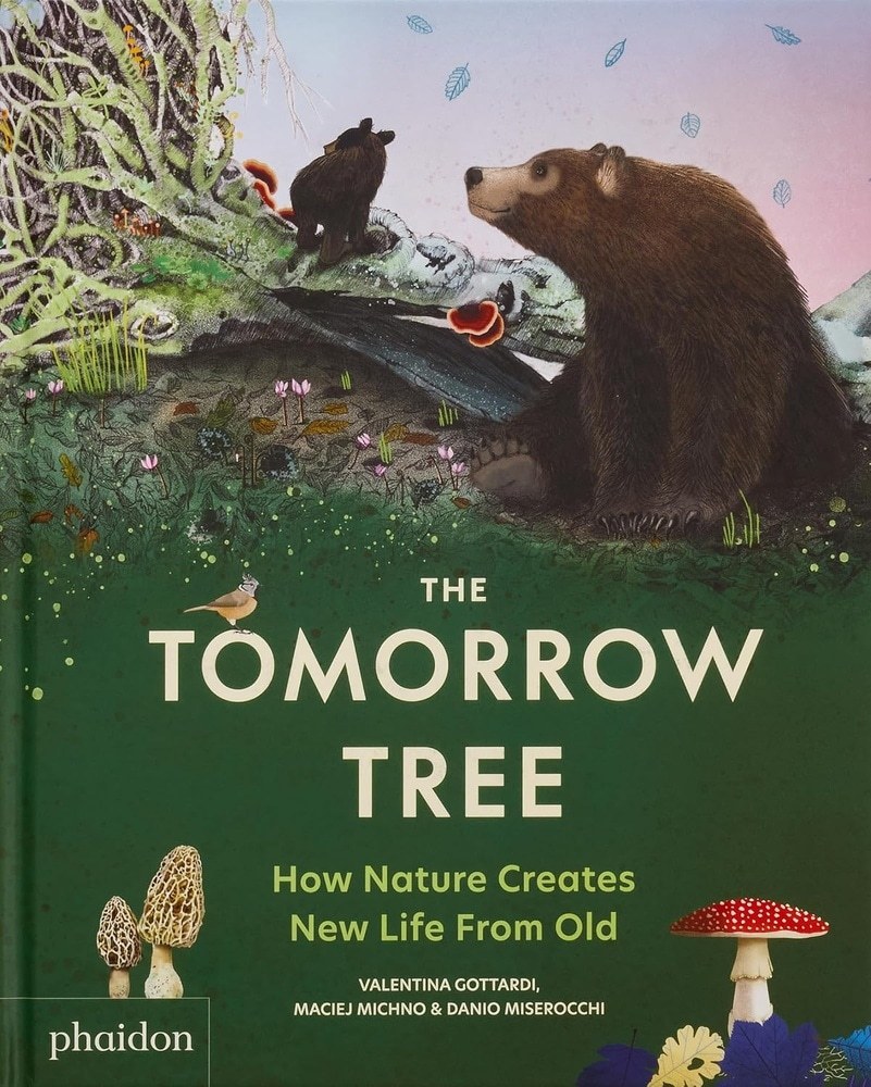 THE TOMORROW TREE: HOW NATURE CREATES NEW LIFE FROM OLD