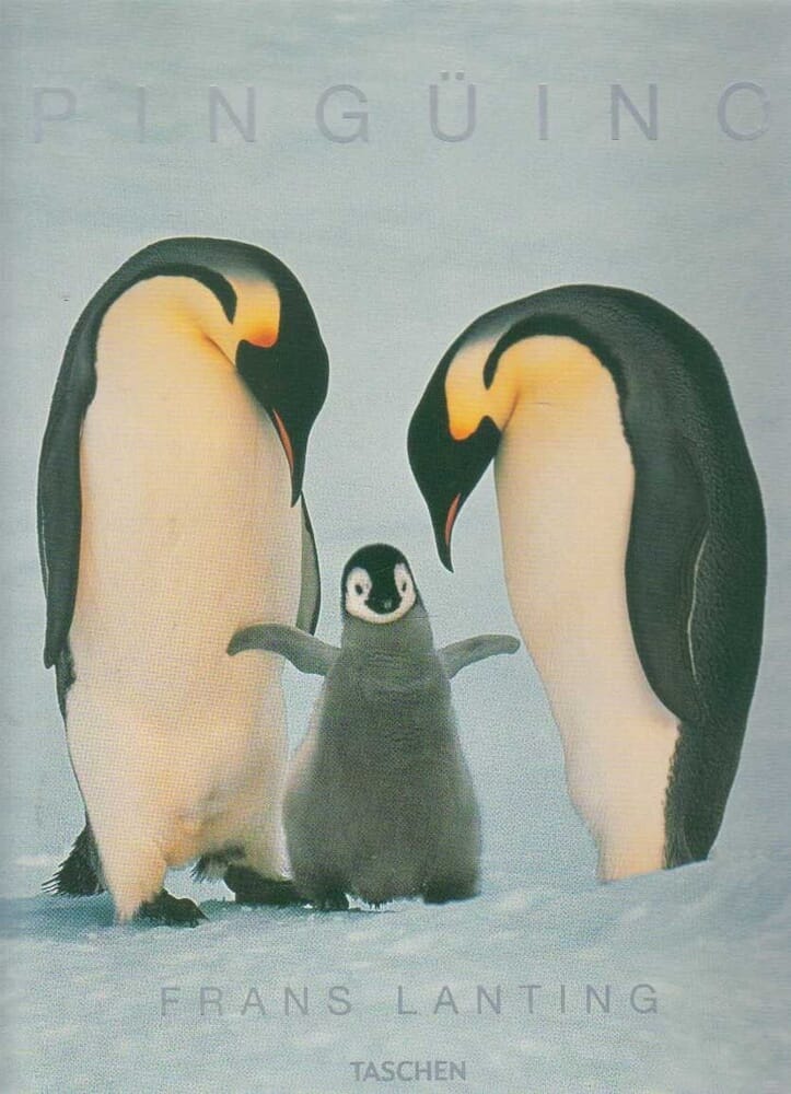 PINGUINO
