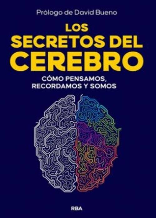 LOS SECRETOS DEL CEREBRO