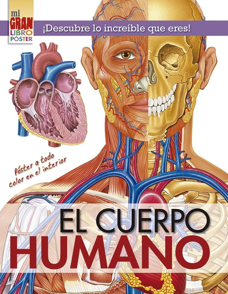 MI GRAN LIBRO POSTER: EL CUERPO HUMANO