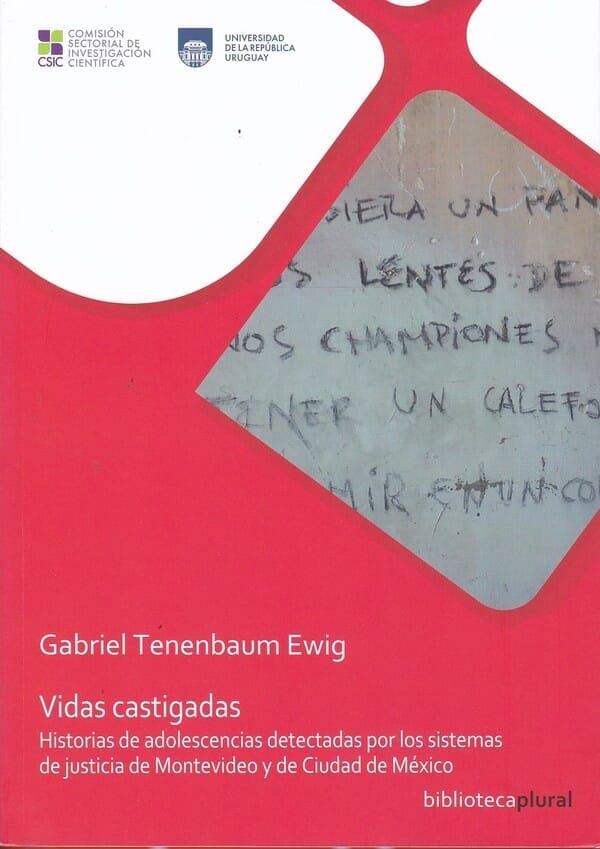 VIDAS CASTIGADAS
