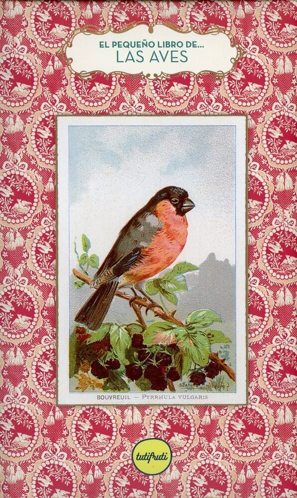 PEQUEÑO LIBRO DE... LAS AVES