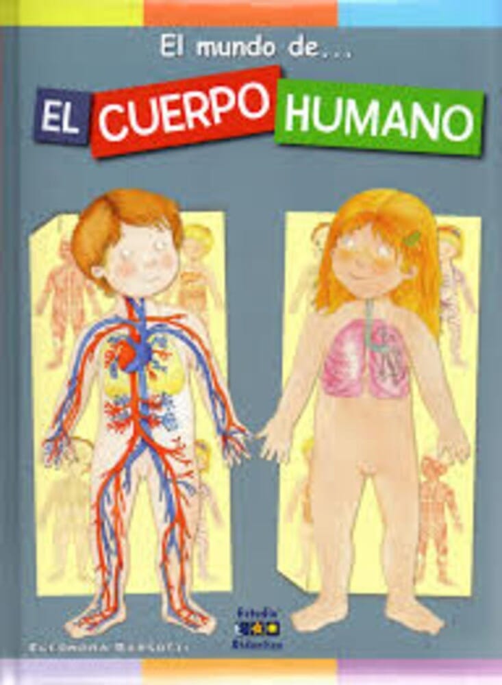 PREGUNTAS Y RESPUESTAS - EL CUERPO HUMANO