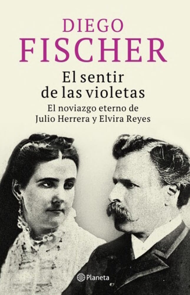 EL SENTIR DE LAS VIOLETAS