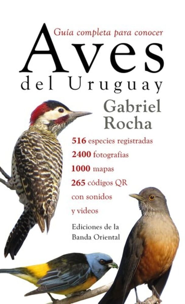AVES DEL URUGUAY