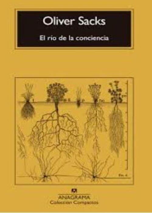 EL RÍO DE LA CONCIENCIA