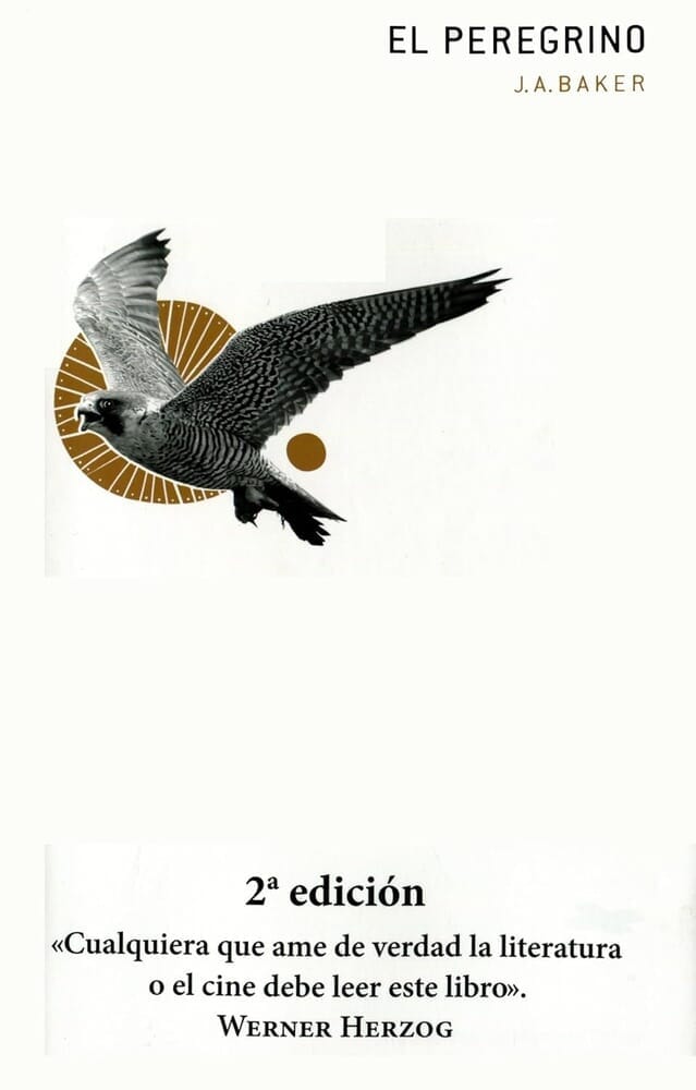 PEREGRINO