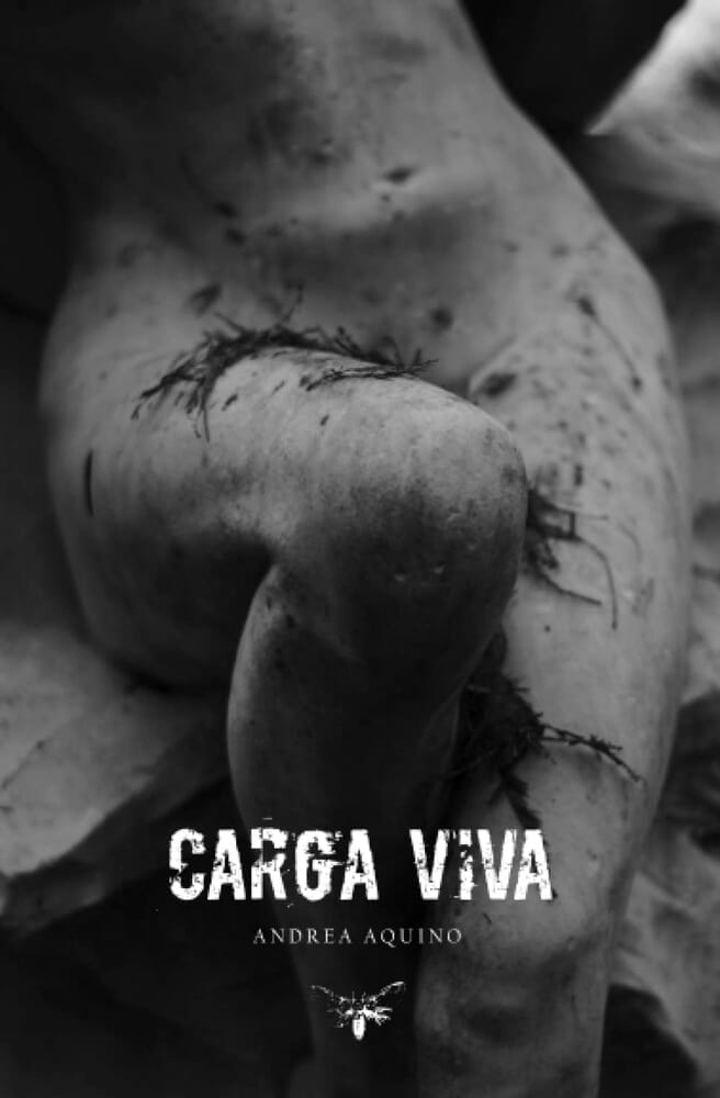 CARGA VIVA