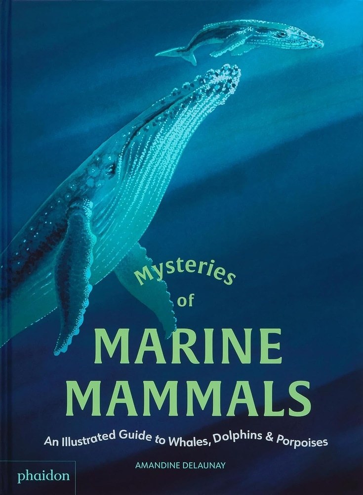 MYSTERIES OF MARINE MAMMALS: AN ILLUSTRATED GUIDE TO WHALES, DOLPHINS, AND PORPOISES