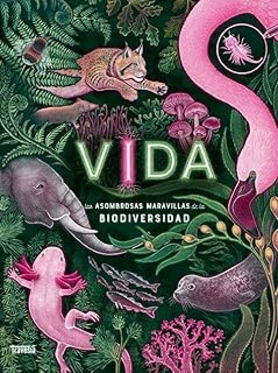 VIDA