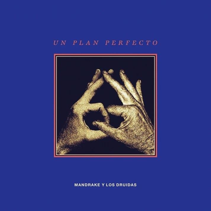 UN PLAN PERFECTO. VINILO