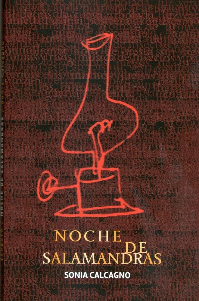 NOCHE DE SALAMANDRAS