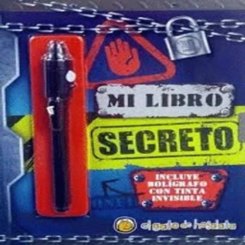 MI DIARIO SECRETO - GRIS