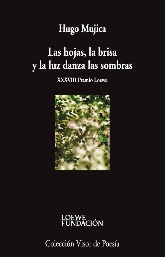 Las hojas, la brisa y la luz danza en las sombras