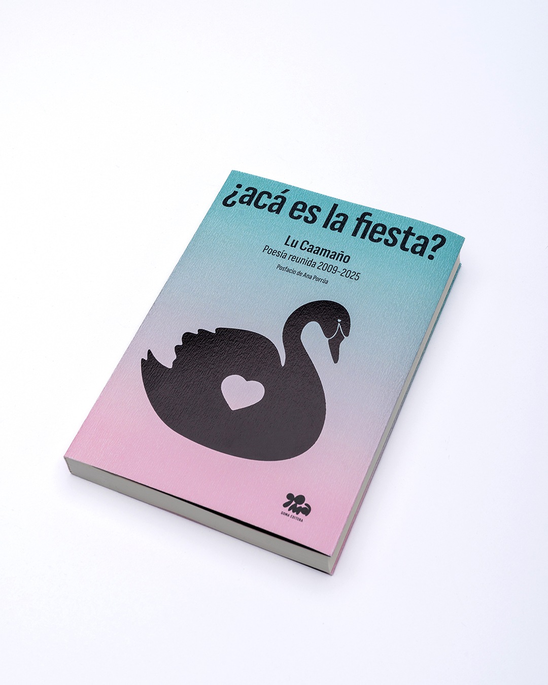 AcaEsLaFiesta-EnBaja02.jpg