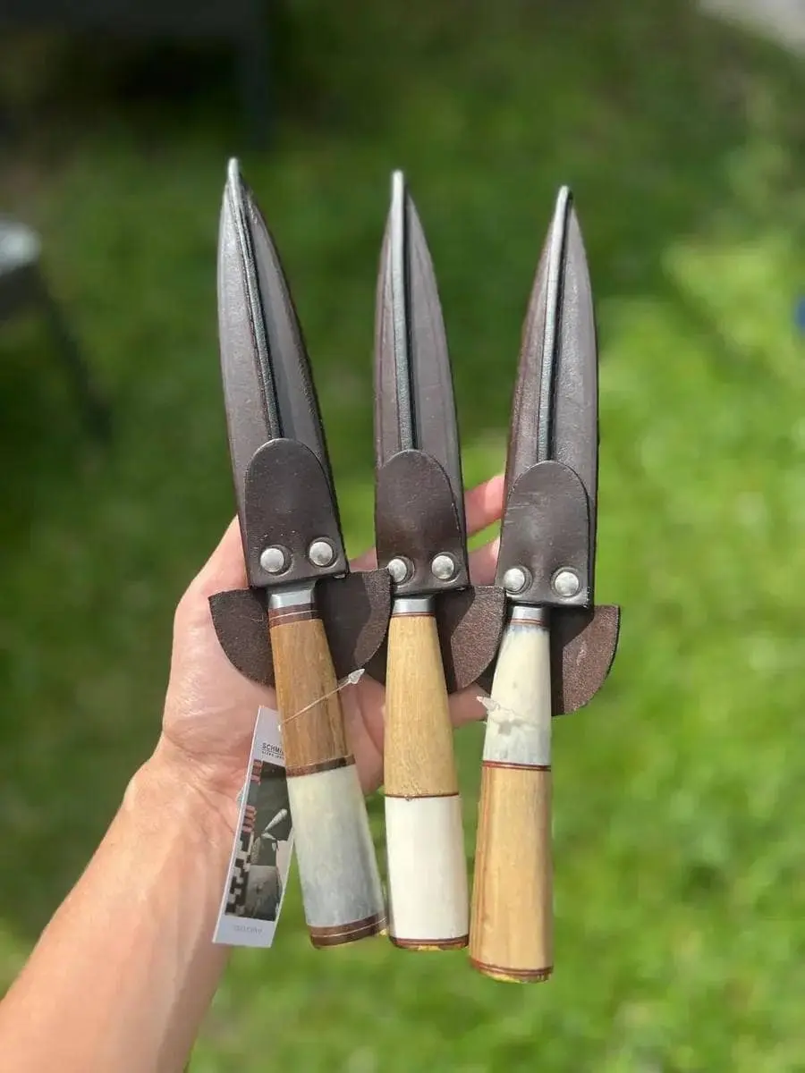 Cuchillo Regional 16Cm
