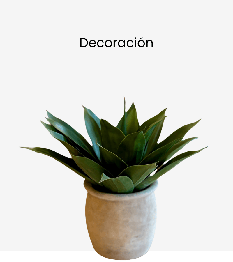 FMB DISEÑO & DECO Decoración