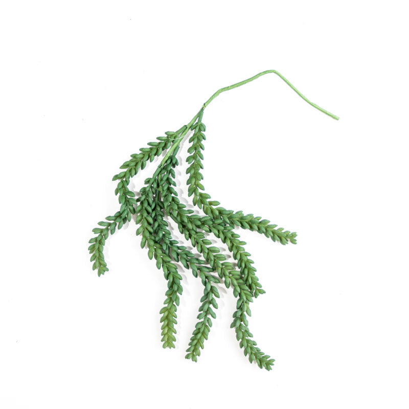 Donkey tail